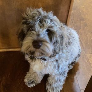 Meet your Posher, Evan